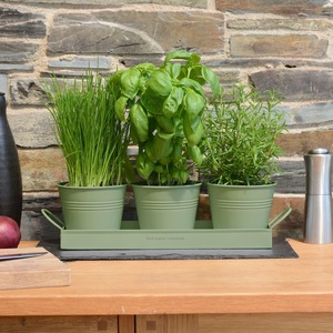 Latest Metal Windowsill Planter <b>Herb</b> Garden Planter Set With Tray Farmhouse Home & Garden Decoration <b>Herb</b> <b>Pot</b> Sets - Product Image 2