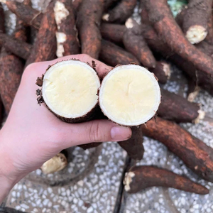 Délices de manioc surgelés: des collations de manioc pur pour des repas viraux et faciles - Product Image 1