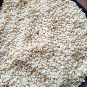 SEMILLAS DE SÉSAMO BLANCO ORIGEN EN INDIA - Product Image 1