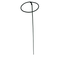 Supports pour plantes grimpantes en fil d'acier galvanisé vert foncé - Longueurs de 4' et 6' pour les jardins potagers et fleurisseries - RAPITECH PS006-01