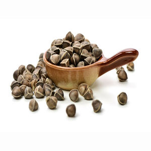 VENTE EN GROS DE GRAINES DE MORINGA DU Vietnam DE HAUTE QUALITÉ ET À PRIX CONCURRENTIEL - Product Image 6