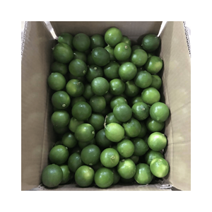 Citron vert frais sans pépins citron frais sans pépins du Vietnam nouvelle récolte de haute qualité et à bon prix - Product Image 3