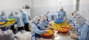 HOT SALE Tasty DRIED <b>SWEET</b> <b>POTATOES</b> From Vietnam for Directly Eat As Snack or Decoration Cake or Desserts or Drinking - Product Image 4