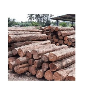 IROKO WOOD PADOUK, SAWN TIMBER WENGE, DOUSSIE, SAPELLI - Product Image 2