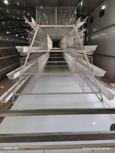 Jaula para Pollos de Acero de 3 Niveles con Batería, Jaula Automática para Gallinas Ponedoras para una Cría Eficiente de Aves de Corral - Product Image 3