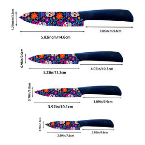 En stock, couteau de chef professionnel à lame en céramique super tranchante, manche en plastique, ensemble de 4, pour cadeau de Noël 2026, livraison gratuite - Product Image 2