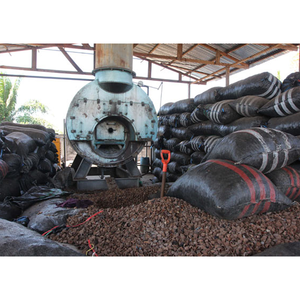 Vente en gros de noix du Brésil de qualité supérieure à bas prix 100% noix du Brésil bon marché/noix du Brésil crues - Product Image 4