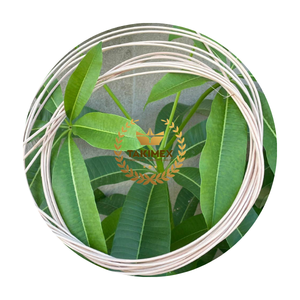 Materia prima de núcleo de ratán de fábrica Takimex vietnamita para hacer artesanías a granel cantidad y precio más barato - Product Image 1