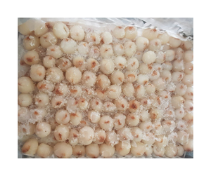 ลิ้นจี่แช่แข็งเนื้อขาวฉ่ำสำหรับผู้ซื้อขายส่ง - Product Image 2