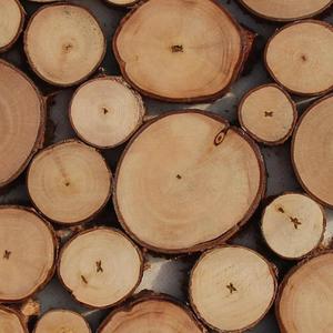 Sous-verre en bois durable à panneau de bois rond de haute qualité idéal pour protéger les meubles de table et l'utilisation du café Vietnam - Product Image 5