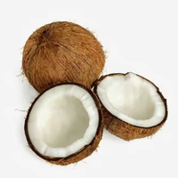 Kokosnoot Hoge Kwaliteit Biologische Witte Gedroogde Kokosnoot Kopra Zongedroogd Hele Fruit Poeder Natuurlijke Conservering Enkele Kruiden & Specerijen
