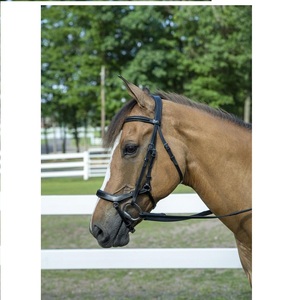 Brida de caballo ecuestre occidental de alta calidad Material de PVC impermeable de cuero Real logotipo personalizado precio al por mayor - Product Image 1