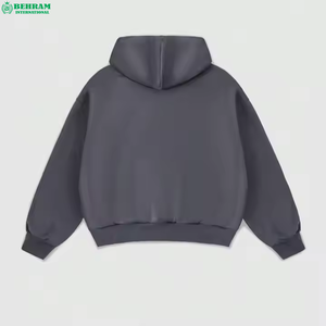 Sweat-shirt à capuche décontracté en molleton 100 % coton de qualité supérieure, coupe classique, 360 g, écologique, vente en gros - Product Image 1