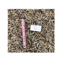 WHOLESALE BULK DRIED MEDIUM SIZE 4CM ANCHOVY FISH SALT-PRESERVED NATURE PIECE for FOOD