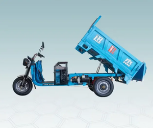 Triciclo Motorizado de Gasolina Industrial OEM Más Vendido, Rickshaw/Bajaj/Auto Taxi, Triciclos de Pasajeros Tuk - Product Image 4