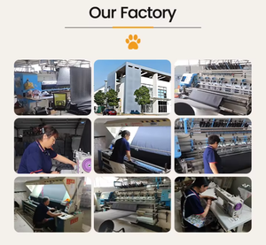 Nuovo Modello Distributore d'Acqua Intelligente <span class=keywords><strong>per</strong></span> Animali Domestici con Circolazione e Filtrazione Automatica <span class=keywords><strong>per</strong></span> Cani e <span class=keywords><strong>Gatti</strong></span> - Ideale <span class=keywords><strong>per</strong></span> Vendite Transfrontaliere - Product Image 5