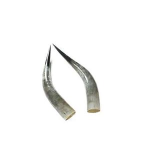 Par de bocina de tamaño medio, claxon personalizado con logo pulido en blanco y negro, color natural para claxon decorativo - Product Image 4