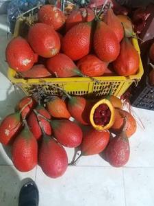 น้ำมันผลไม้ GAC ระดับพรีเมี่ยม (momordica cochinensis) ราคาไม่แพงสำหรับสินค้าเกษตร - Product Image 2