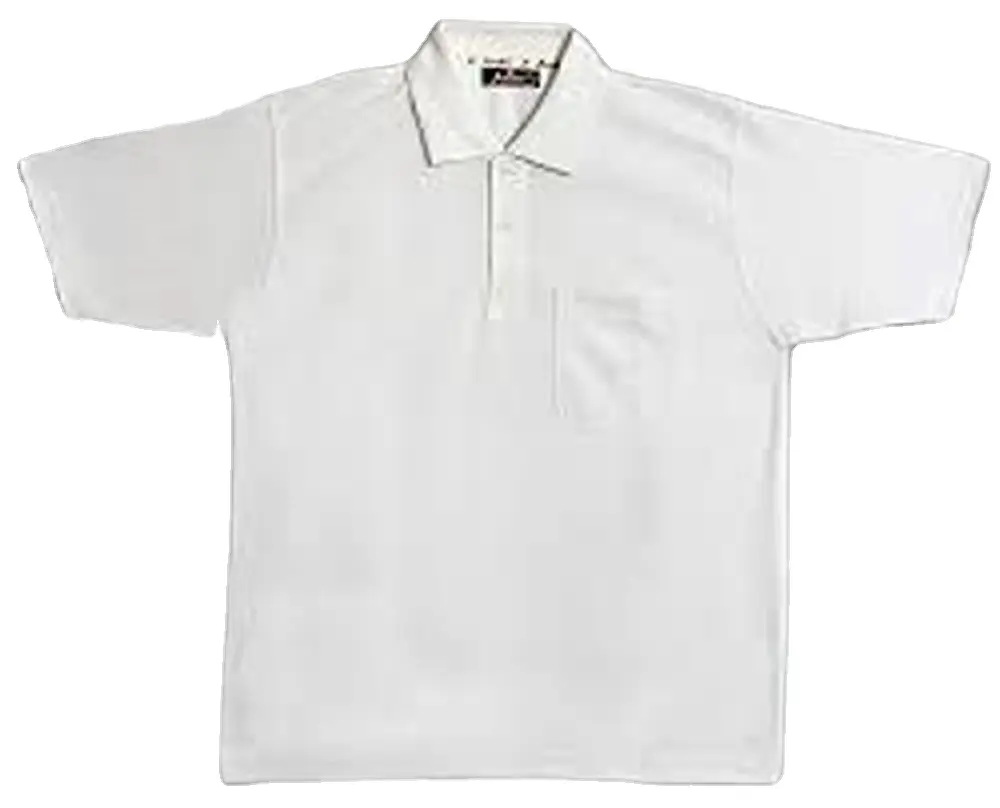 도매 유기농 면 남성용 티셔츠 칼라와 반소매 티셔츠 맞춤 제작 로고 및 디자인 프린트 코튼 티셔츠