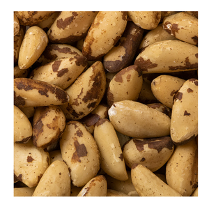 Noix du Brésil grillées de qualité supérieure 100% biologiques - pour paniers-cadeaux et coffrets cadeaux - Product Image 3