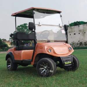 Carrito de golf de lujo de 2 plazas | Movilidad inteligente: carrito de golf de 2 plazas - Product Image 2