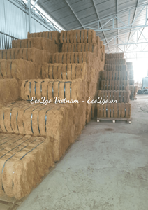 ขายดีที่สุด!!! เส้นใยมะพร้าว/กะลามะพร้าว/กะลามะพร้าวสำหรับการส่งออกโดยใช้ที่การเกษตร,การก่อสร้างทำในเวียดนาม - Product Image 2