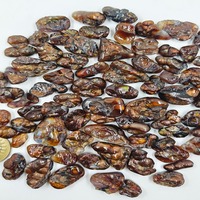 2024 gros naturel feu Agate Lot fait à la main poire et fantaisie forme Cabochon mélanger taille et forme Collection de pierres précieuses