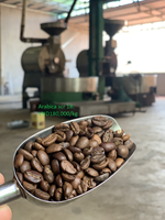 Café Arabica en Grains Entiers de Haute Qualité, Non Lavé / Nettoyé / Poli à l'Humide, S13-S16-S18, Vietnam Vilaconic, 2 Ans