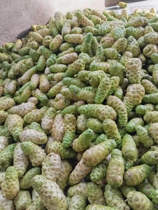 ผู้จำหน่ายผง noni ที่เชื่อถือได้จากเวียดนาม-ส่งออกจำนวนมากในราคาที่แข่งขันได้ - Product Image 6