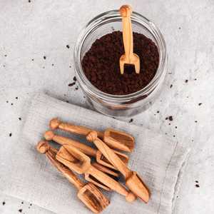 Juego de 6 Cucharas Pequeñas de Madera de Olivo para Hierbas y Especias - Product Image 1