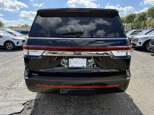 LIMPIA 2022 L l n C o I n N a V L G a t o r B l a c K Labl - Product Image 4