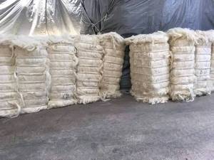 Fibra de sisal de Grado Superior/Fibra de sisal de alta calidad/Fibra de sisal de grado UG Material de fibra de sisal crudo de África oriental a la venta a EE. UU.