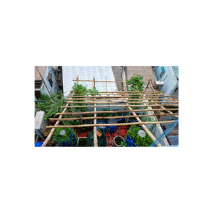 Tubo de postes de bambú de Vietnam para aplicaciones agrícolas fuerte y duradero de Vietnam - Product Image 2