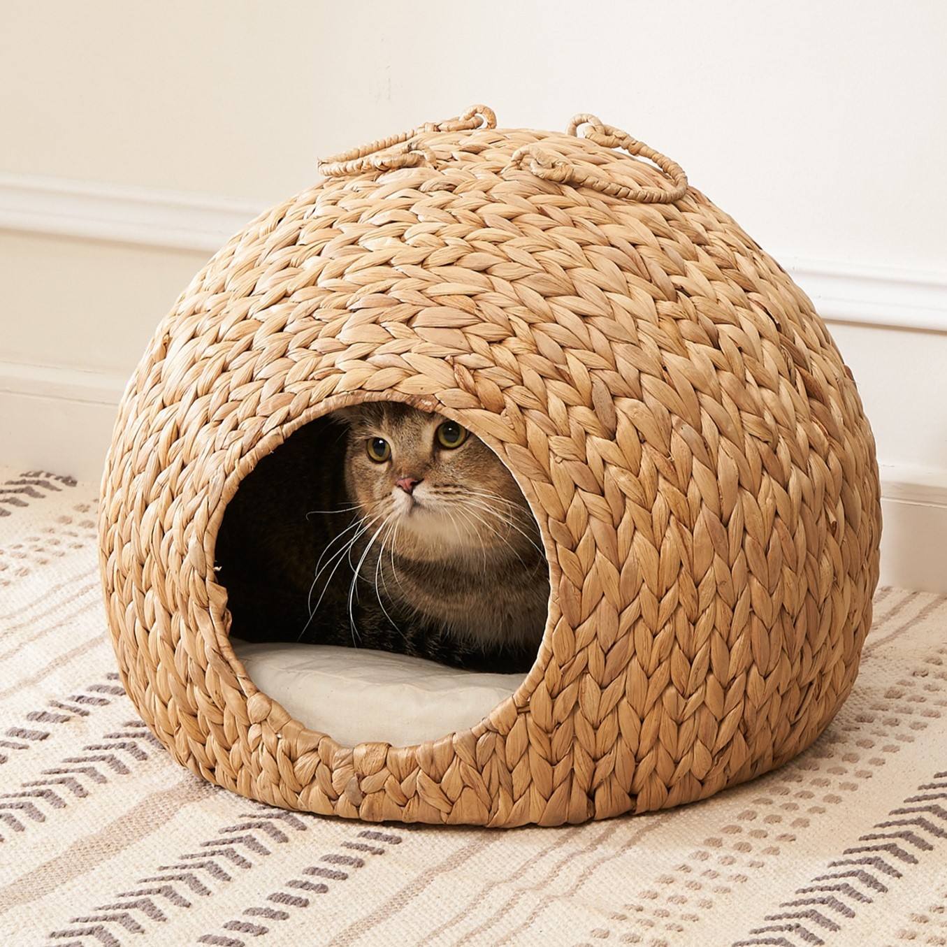 ธรรมชาติ