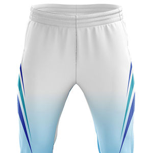 Uniforme de cricket de bajo precio, servicios OEM hechos en fábrica, mejor fabricante, logotipo personalizado, precio cómodo, uniforme de cricket - Product Image 6