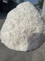 NIEUWE OOGST GEDROOGDE ZOETE GEDROOGDE COCOSNOOT VIETNAM voor EXPORT 62% Vetgehalte HACCP ISO22000-2005 Gecertificeerd 50kg Lage Vochtigheid
