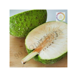 Tranches de fruits à pain congelés du Vietnam 2025 récolte IQF traité pour une texture et un goût frais adapté à la vente en gros - Product Image 2