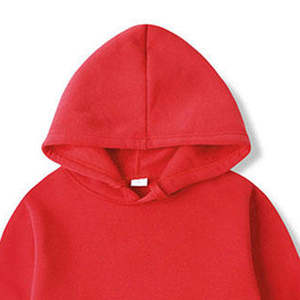 OEM ODM Pull à capuche décontracté personnalisé pour hommes 100% Sweat à capuche en molleton de coton Fabricant de sweats à capuche brodés pour l'hiver - Product Image 6