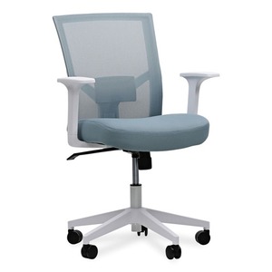 Alera ALEWS42B77 Chaise de travail ergonomique 17,32 à 21,1 pouces. Supports de dossier en maille bleu Seafoam pour siège, capacité de 275 lb, confortables et pratiques - Product Image 1