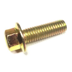 Vite per cambio M8X20 compatibile con Z750 Rif. 974017 - Product Image 1