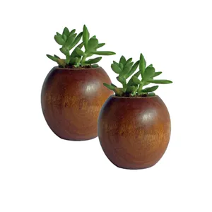 OEM Customized Modern Planter Wood Flower Pots & Planter Indoor Decorative Wooden Planter Buy From Indian Supplier