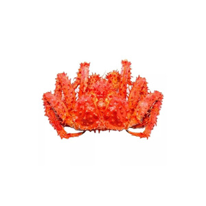 Live Red Norwegian King <b>Crab</b>/Frozen King <b>Crab</b> Legs - Product Image 4