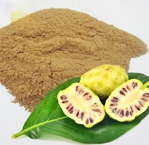 Polvo de Fruta de Noni Natural a Granel y al por Mayor, Ideal para Alimentos Saludables, Té de Hierbas y Bebidas Funcionales - Product Image 1