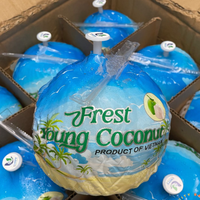Boisson biologique à l'eau de coco fraîche prête à boire du Vietnam Pulpe douce pure de meilleure qualité-Caryln 0084935825297