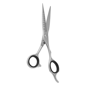 Tijeras de Peluquería Profesionales de Primera Calidad, Diseño Elegante para Diestros, Mango Mediano, Hoja Afilada de Acero Inoxidable para Salón - Product Image 2