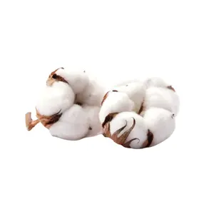 100% Natural Cotton with Customized Packing Available Pure Raw Cotton For Multi Type Uses By Indian Exporters