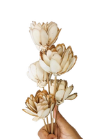 Sola Wood Flower diffuseur de roseau Parfum d'ambiance Fait à la main Sola Flower Echo Friendly Sola Flower Natural to aérer Freshen Reed