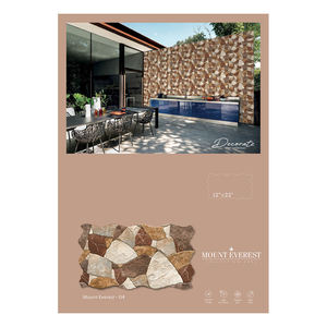 Carreaux muraux d'élévation à haute résistance nouveau design bon prix carreaux muraux en céramique 31x56cm d'Inde - Product Image 1