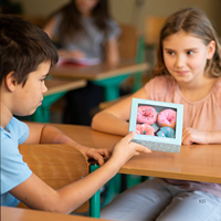 Boîte cadeau de chaussettes en coton, style donut, antidérapantes, décontractées, douces, respirantes, confortables, pour enfants et adultes, vente en gros
