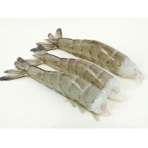 Camarones enteros sin piel |   Proveedor Mayorista de Mariscos Congelados - Product Image 1